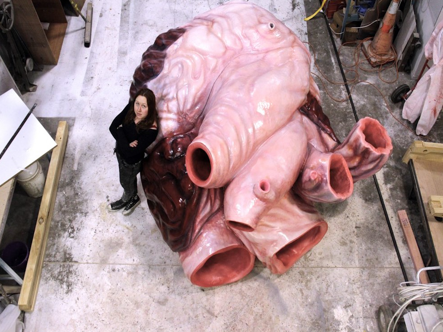 Sinh vat co qua tim lon nhu mot chiec xe hoi hinh anh