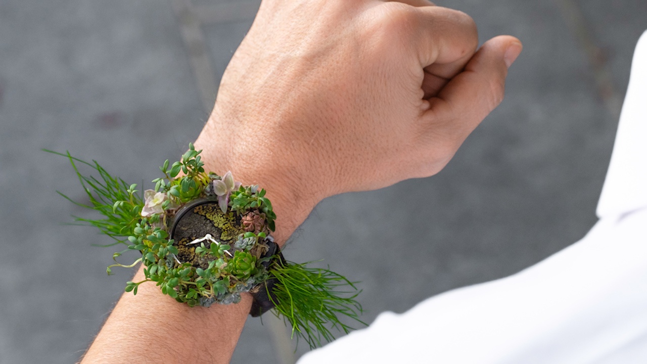 Bo suu tap dong ho Thuy Si lam tu hoa co that hinh anh