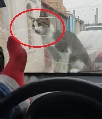 Dung chan doa meo, lai xe lam nut luon kinh oto hinh anh