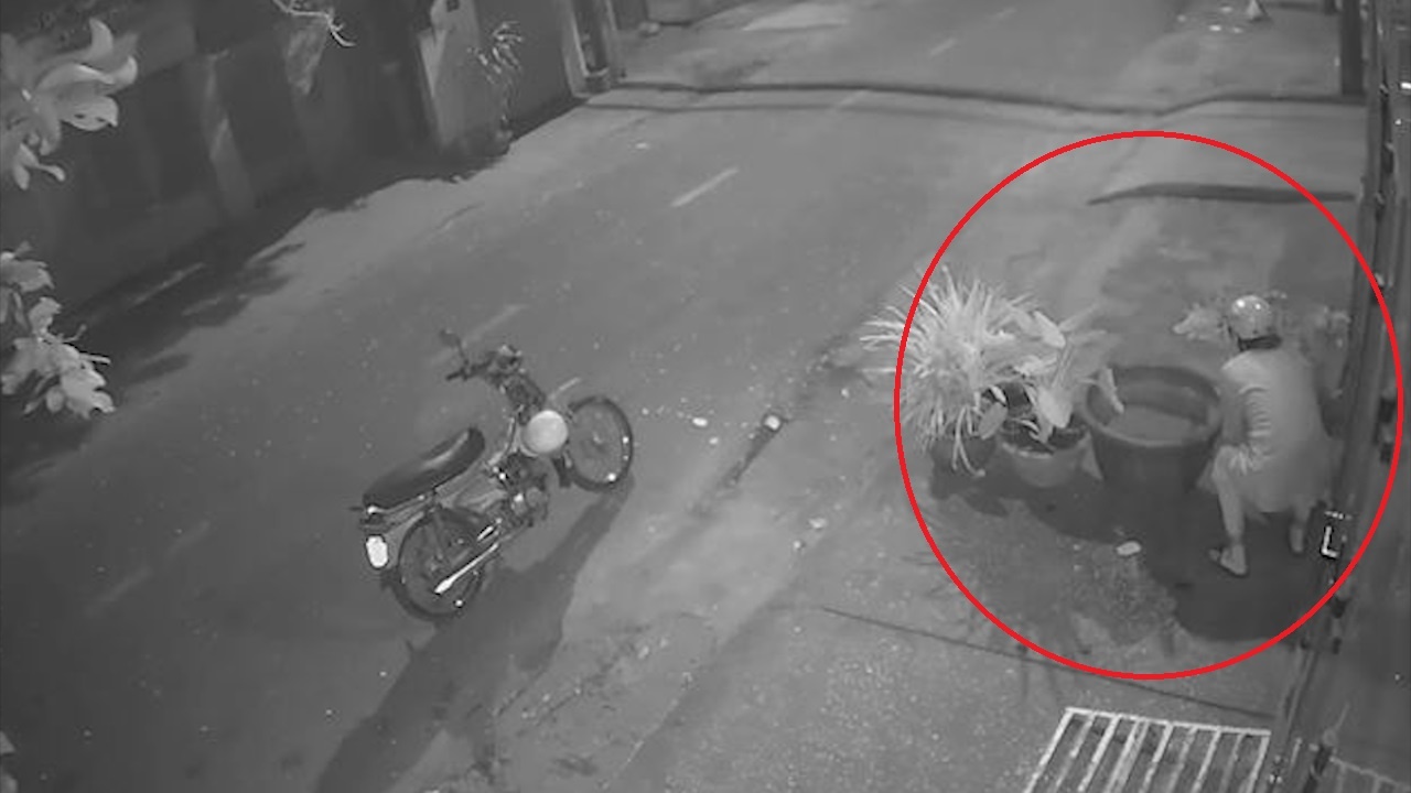 Tai xe xe may vo tu cuom cay canh truoc cua nha dan hinh anh