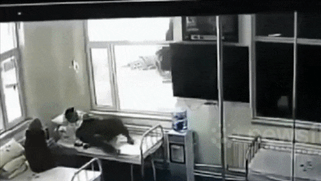 Dang nam vien, benh nhan Trung Quoc bi xe tai lao thang vao giuong hinh anh