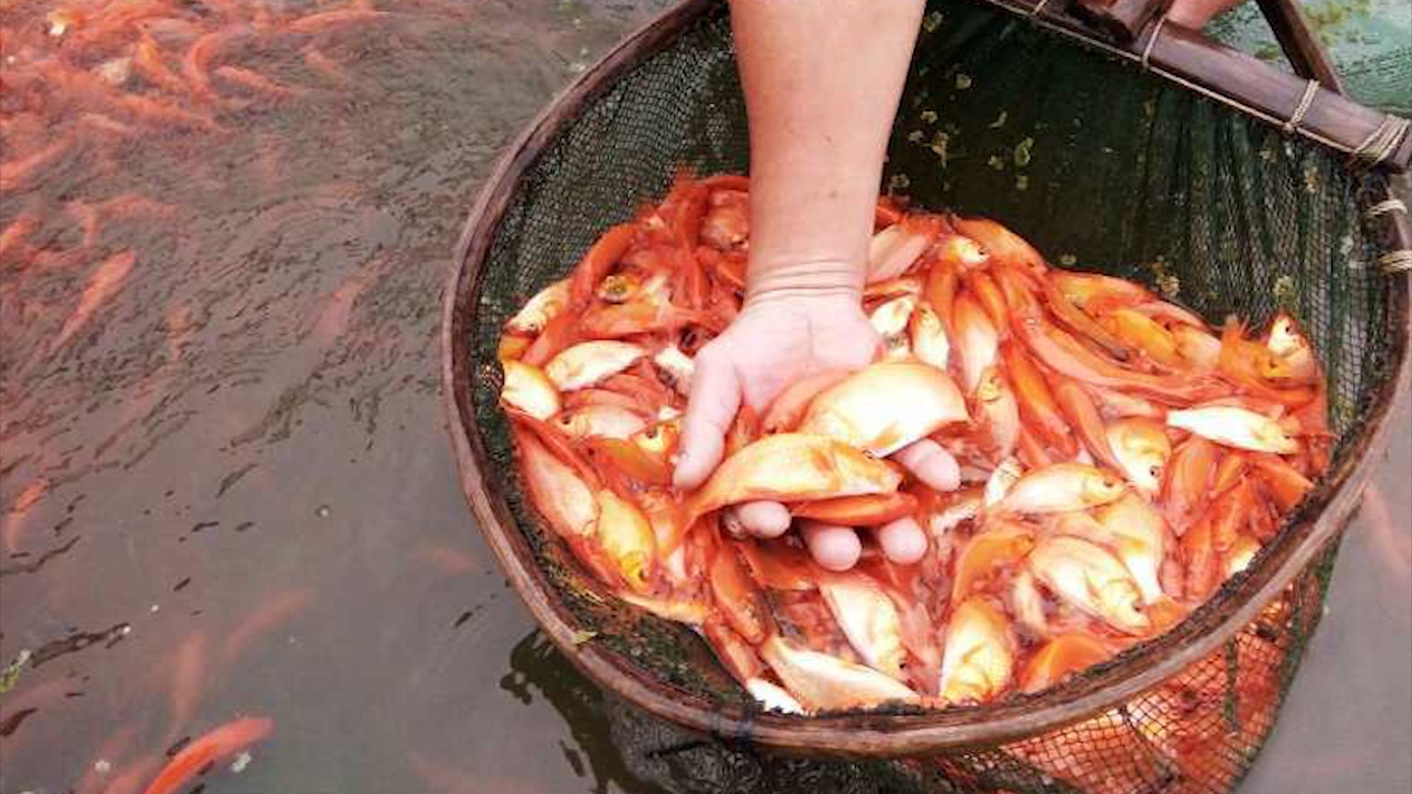 Noi 'san xuat sieu xe' cho ong Cong, ong Tao hinh anh