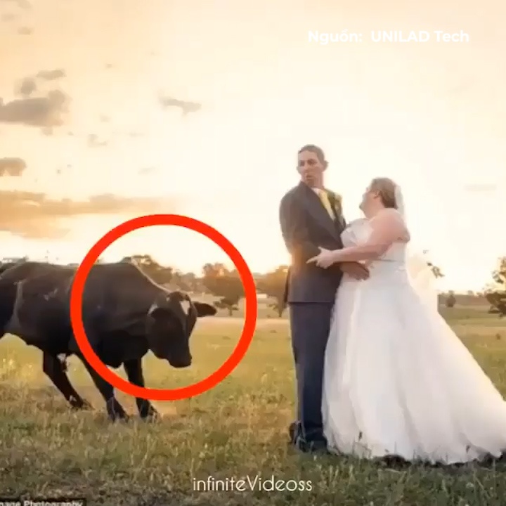 Nhung tai nan hai huoc cua cac cap vo chong trong ngay cuoi hinh anh