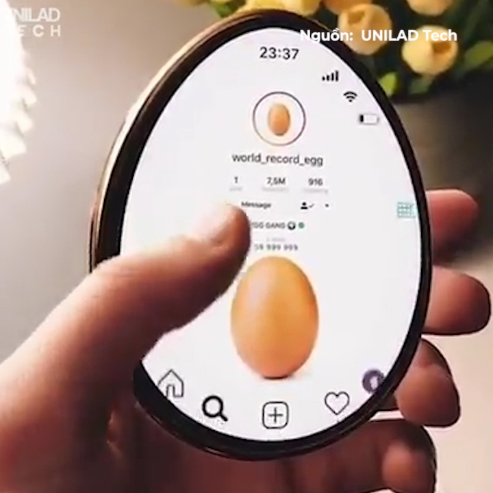 Dien thoai thong minh hinh qua trung ga hinh anh