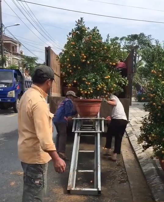 Thuong lai tu che thiet bi chuyen quat canh len xe nhe nhang hinh anh