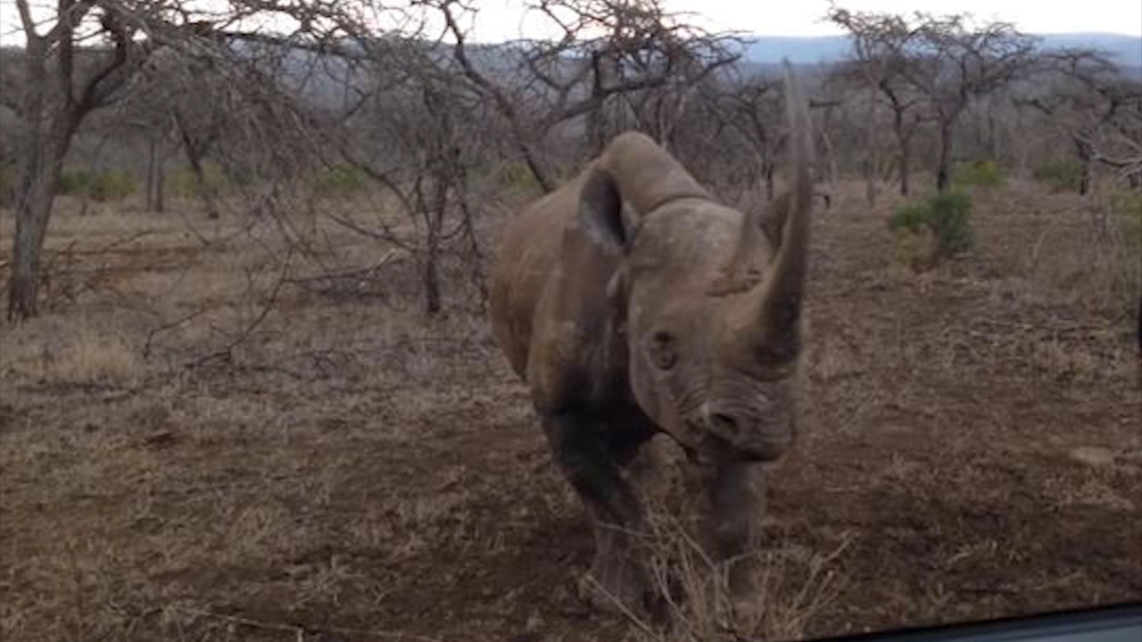 Te giac tan cong khach du lich o Nam Phi hinh anh