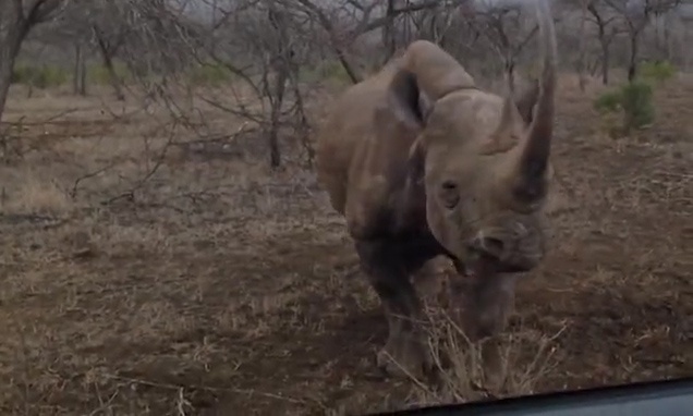 Tai xe that kinh khi te giac noi dien huc thang vao oto hinh anh