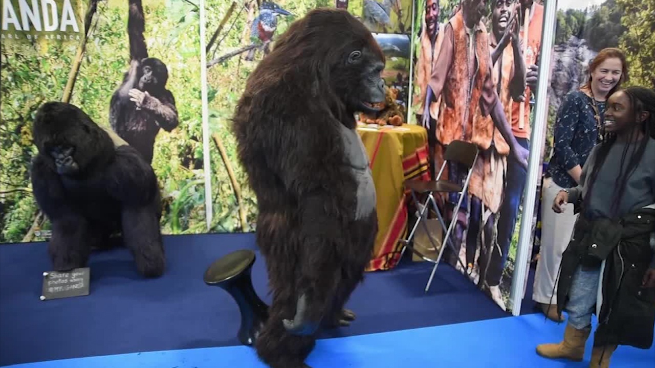 Khi dot biet nhay mua, choc gheo khach tham quan hinh anh