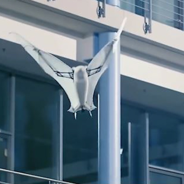 Robot canh doi bay luon dieu luyen tren khong trung hinh anh