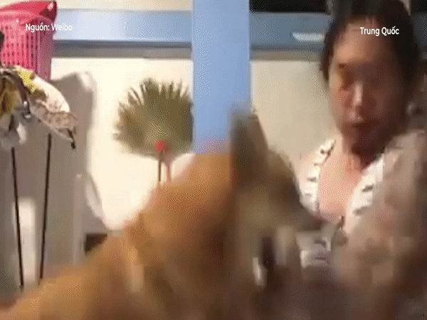 Anh chang tap 'Vinh Xuan Quyen' hai huoc cung cho cung hinh anh