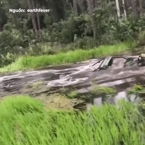 Tai xe dieu khien xe chim trong nuoc lao len bo mot cach ngoan muc hinh anh