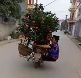 Nguoi phu nu ngoi chong chenh mot ben xe de giu can bang hinh anh