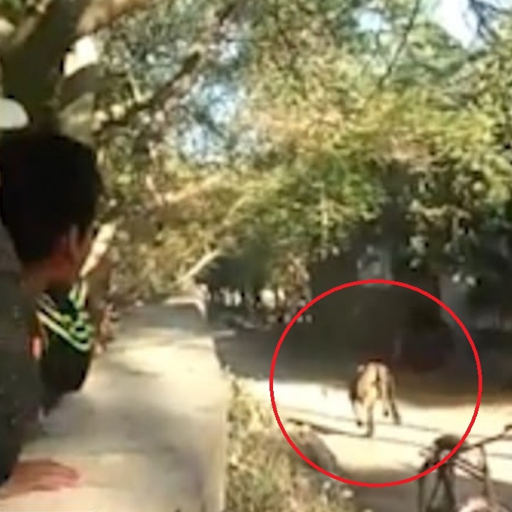 Su tu vao tan ngoi lang An Do de ruot duoi nguoi dan hinh anh