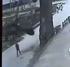 Canh kho rot thang vao dau nguoi di duong hinh anh