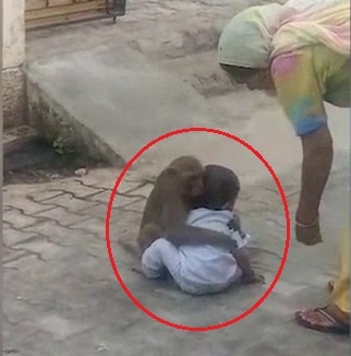 Khi bat be trai An Do ngoi choi cung, nhat quyet khong chiu tha hinh anh