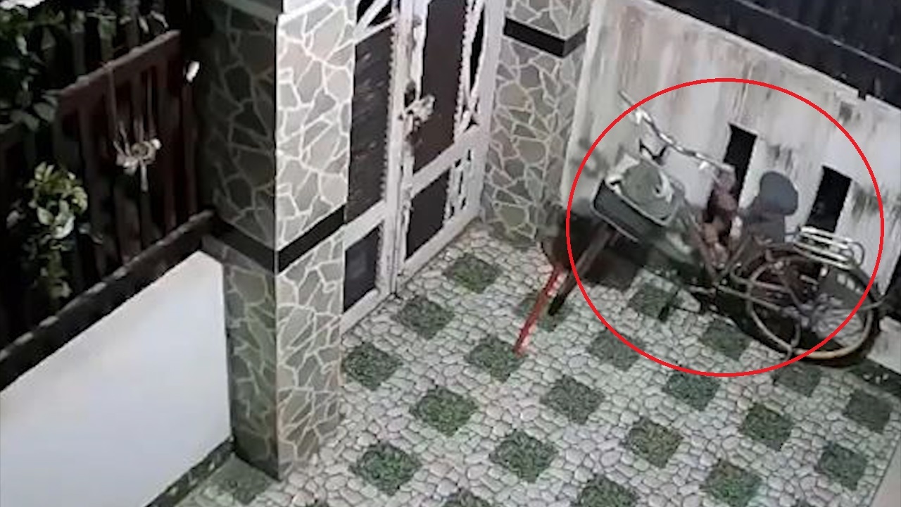 Ten trom rinh mo chi de trom yen xe dap hinh anh