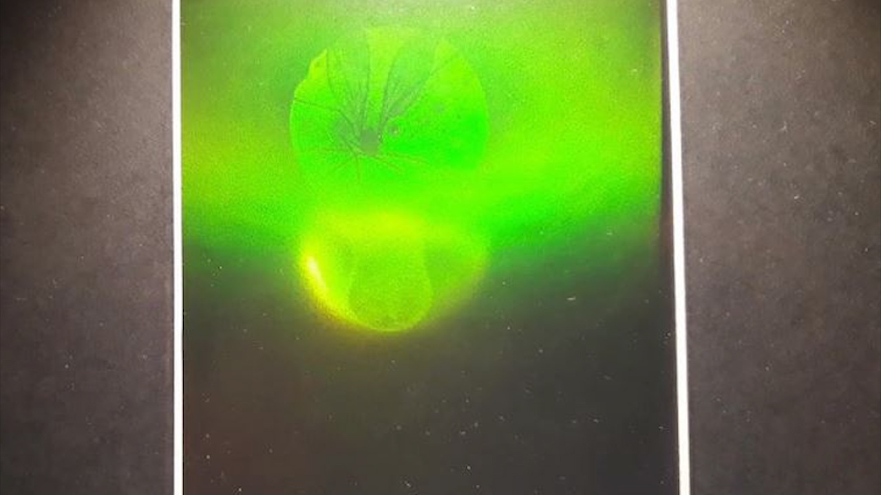 Buc tranh kinh hien vi 3 chieu, hien thi ro den tung chi tiet hinh anh