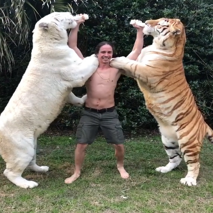 Chang 'Tarzan doi thuc' cho 2 chu ho bu binh cung luc hinh anh