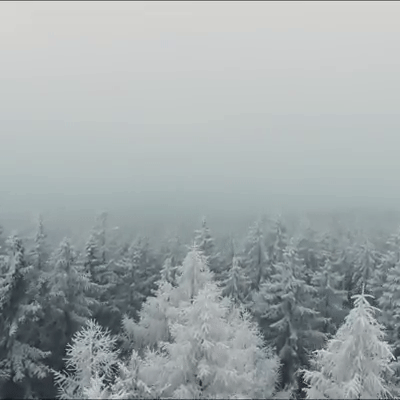 Chau Au co tich chim trong tuyet trang nhin tu flycam hinh anh