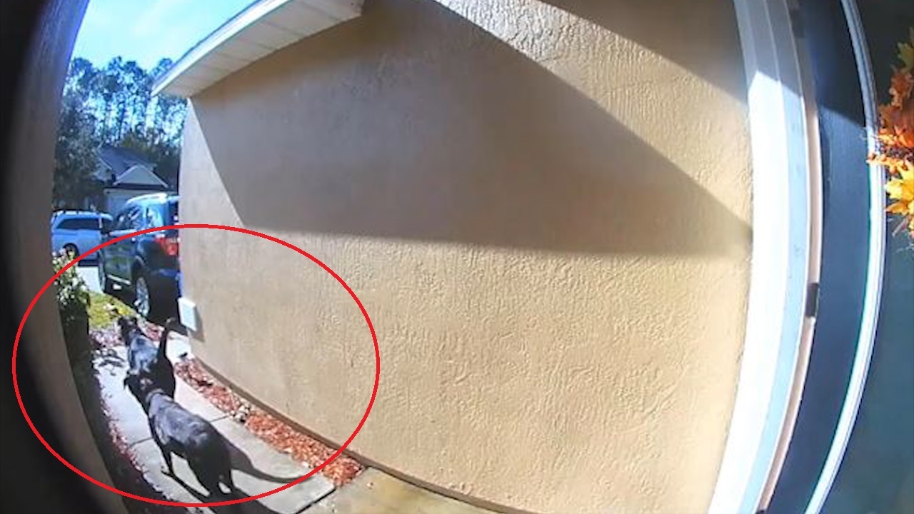 Chu dot quy, cho chay sang goi hang xom giup do hinh anh