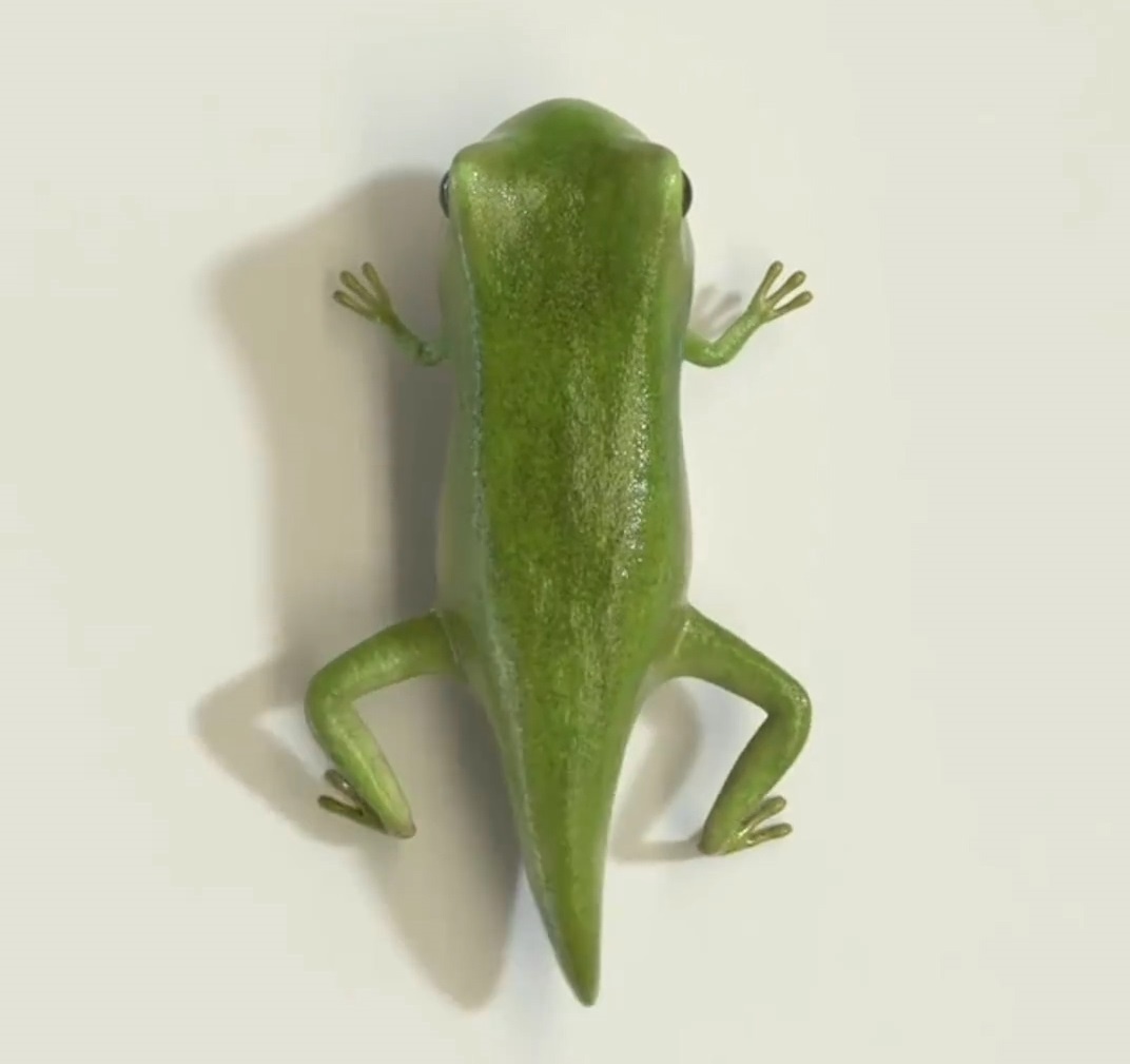 Timelapse 3D qua trinh sinh truong tu nong noc thanh ech hinh anh