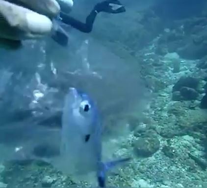 Tho lan Thai Lan tot bung giai cuu ca mac ket trong tui nhua hinh anh