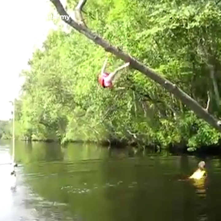 Nhung pha te dau don khi du minh tren cac canh cay cao hinh anh