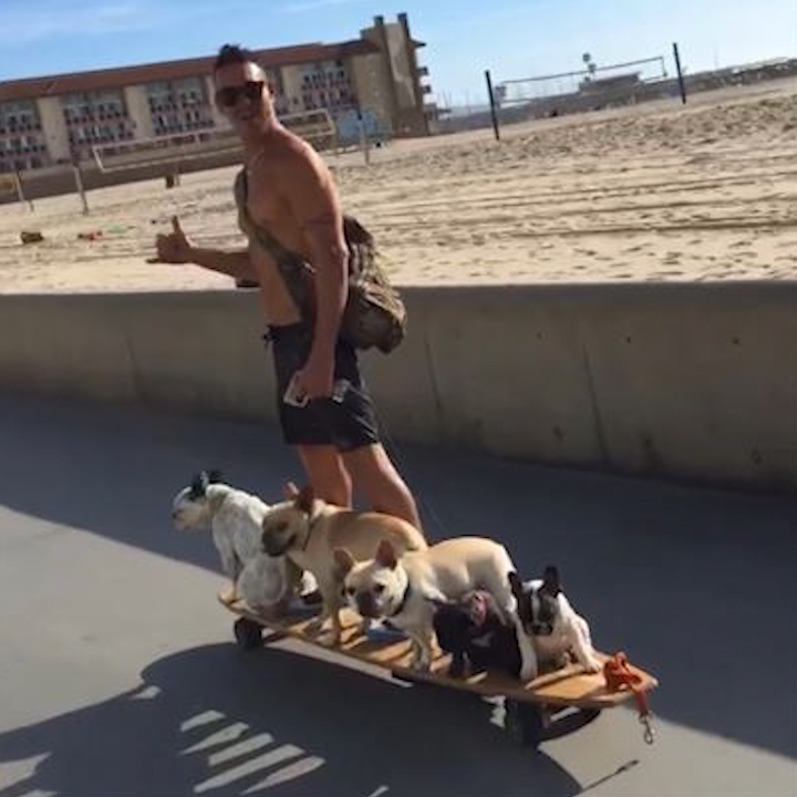 Chu vua mang theo thu cung vua choi the thao hinh anh