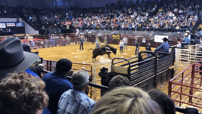 Nguoi choi bi bo tot hat tung nhieu vong tren khong trung tai My hinh anh