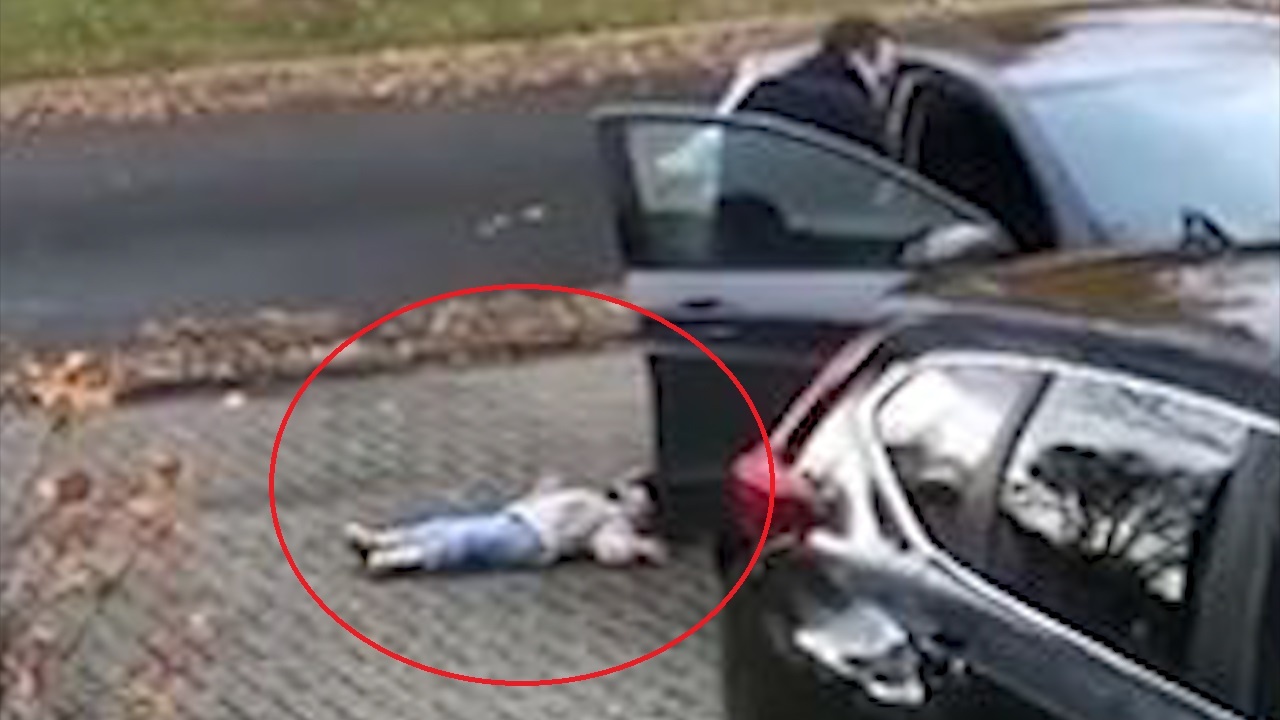 Bo binh than xach con nhu xach do, gay sot cong dong mang hinh anh