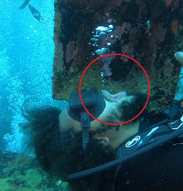 Tom boi vao mieng tho lan de lam sach rang hinh anh