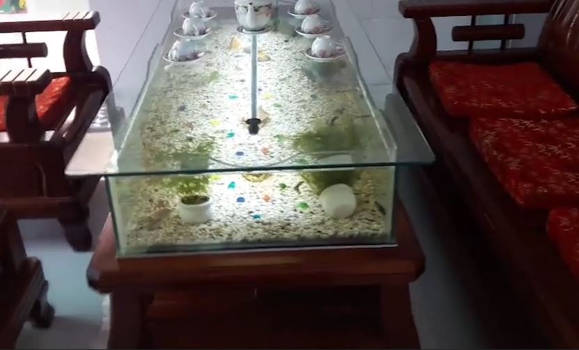 Chiec ban tiep khach voi be ca con song ngay ben trong hinh anh