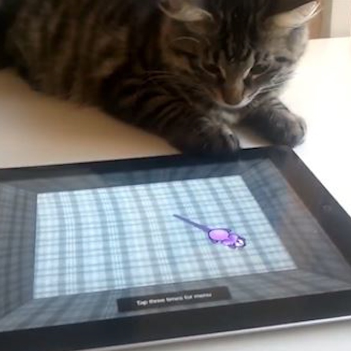 Nhung pha 'ruot duoi' chuot cua meo qua dien thoai thong minh hinh anh