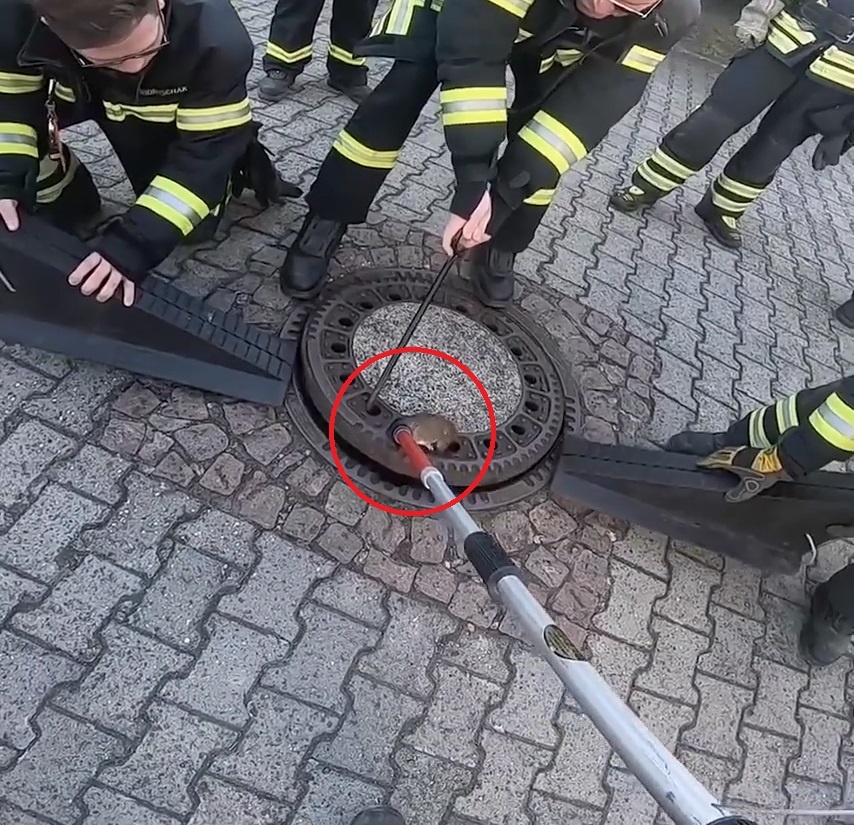 9 linh cuu hoa Duc hop suc cuu chuot bi ket trong nap cong vi qua u hinh anh