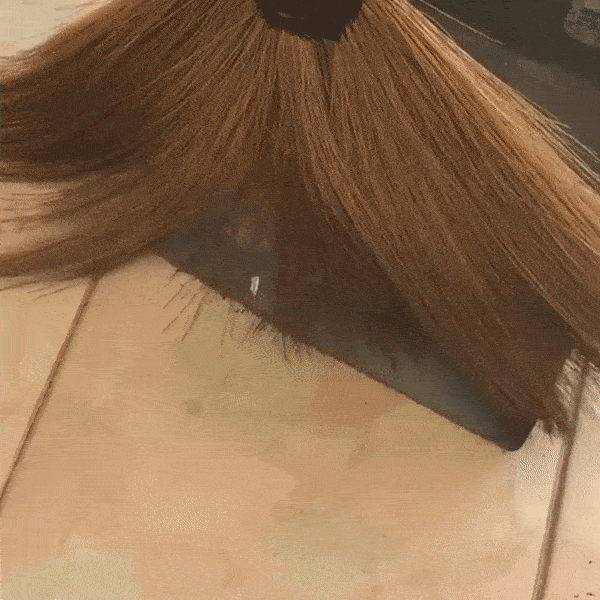 Nhom hai Thai Lan mieu ta noi niem thuong gap khi quet nha hinh anh