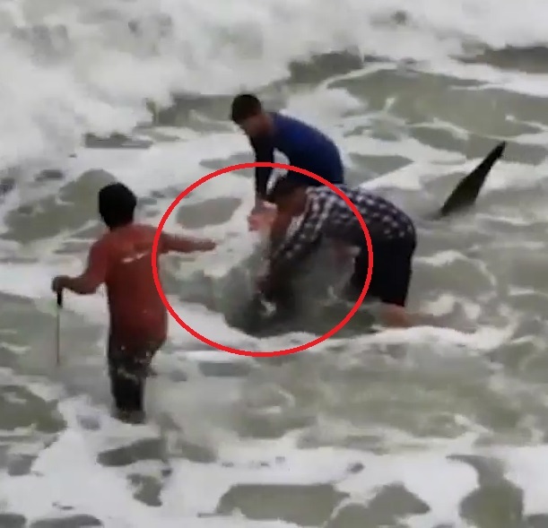 Dam dong hop suc, cuu ca map trang bi mac ket ra bien o My hinh anh