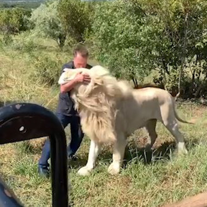 Mao hiem nung su tu trang hinh anh