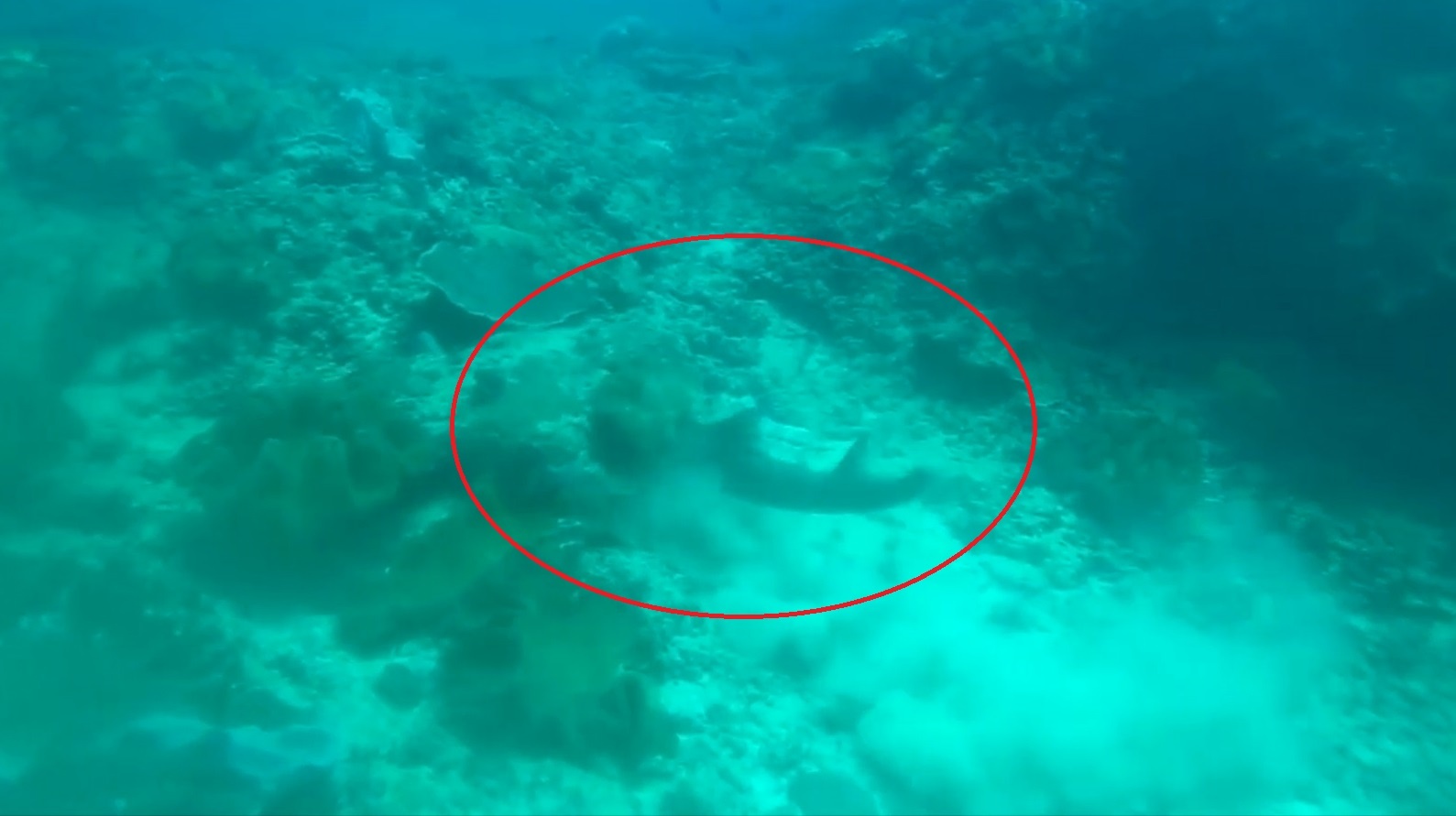 Ca map san bach tuoc nhanh nhu chop, bui bay mit mu hinh anh