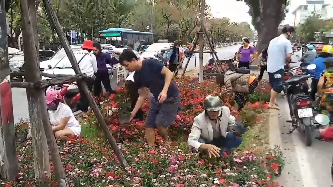 Nguoi dan tai Ha Noi dung xe giua duong de nhat hoa dem ve hinh anh