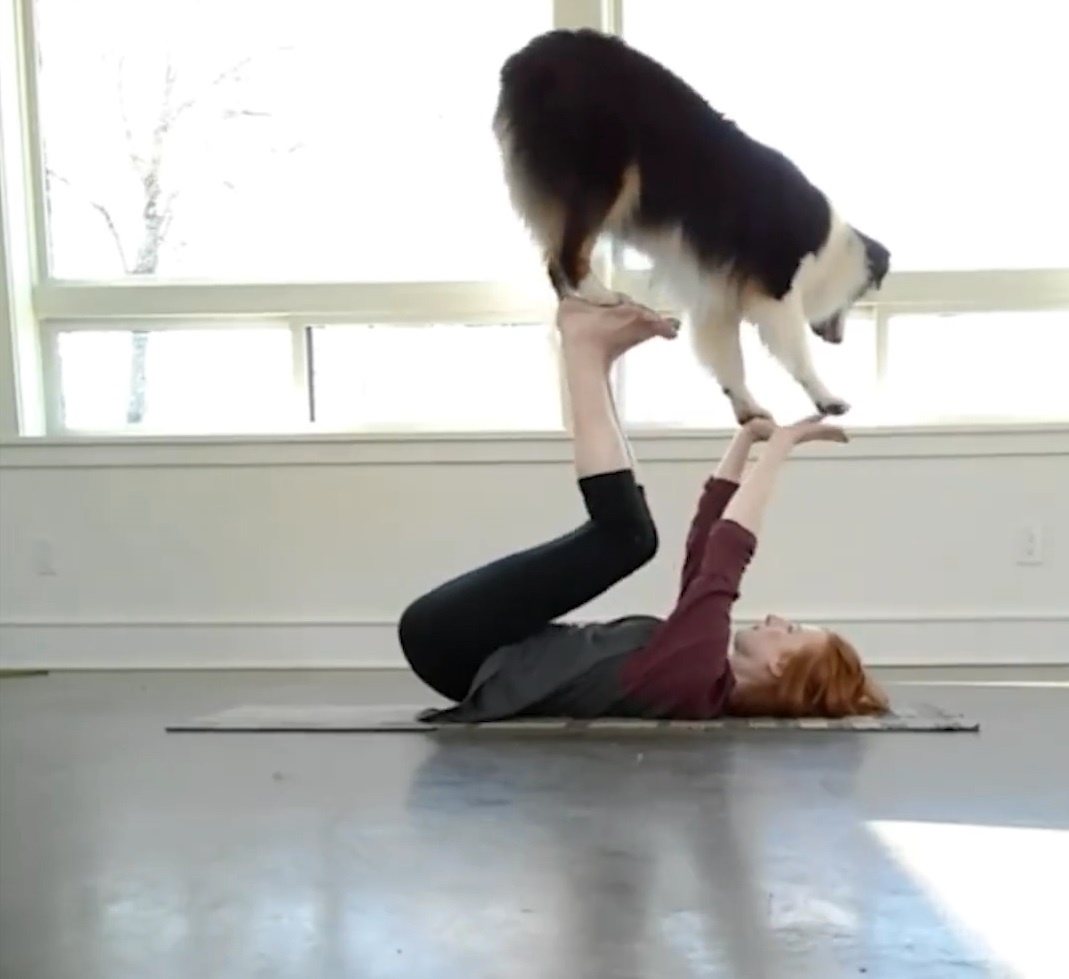 Cho thong minh biet tap yoga dieu nghe y het nhu chu hinh anh