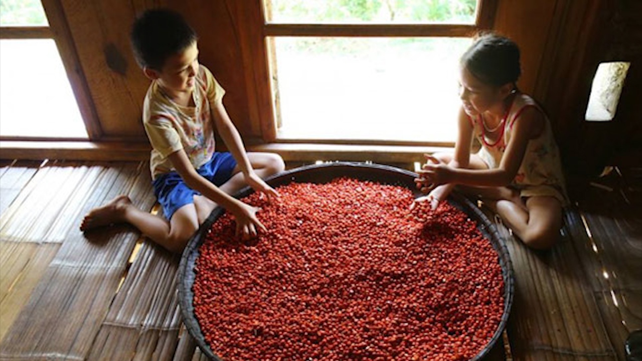 'Vua' doi xu Muong, thu nua ty dong/nam hinh anh