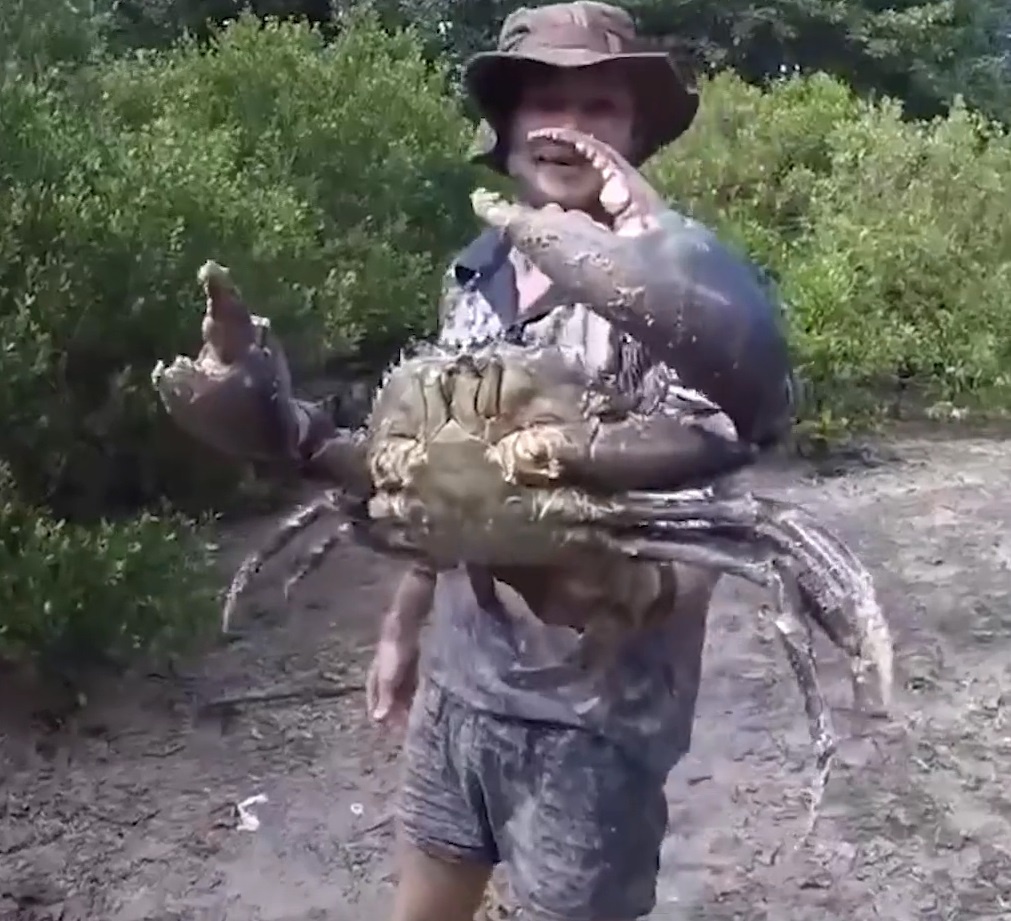 Nguoi dan ong dung tay khong bat cua khong lo o Australia hinh anh