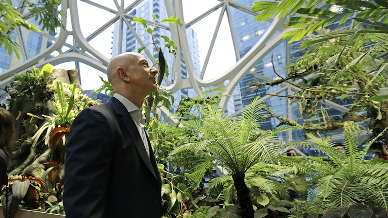 Tru so 4 ty USD Amazon khien nhan vien di lam nhu lac vao rung hinh anh