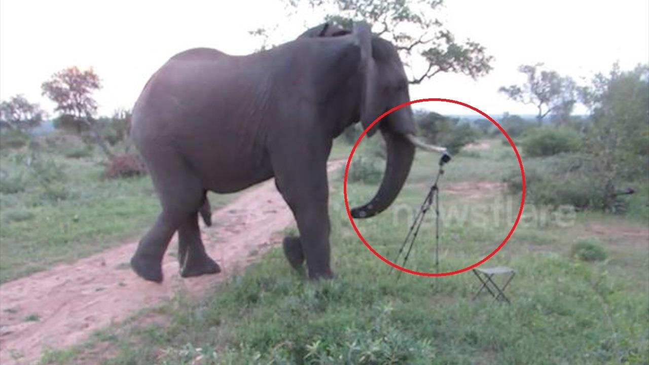 Voi pha may anh khong cho du khach chup hinh hinh anh