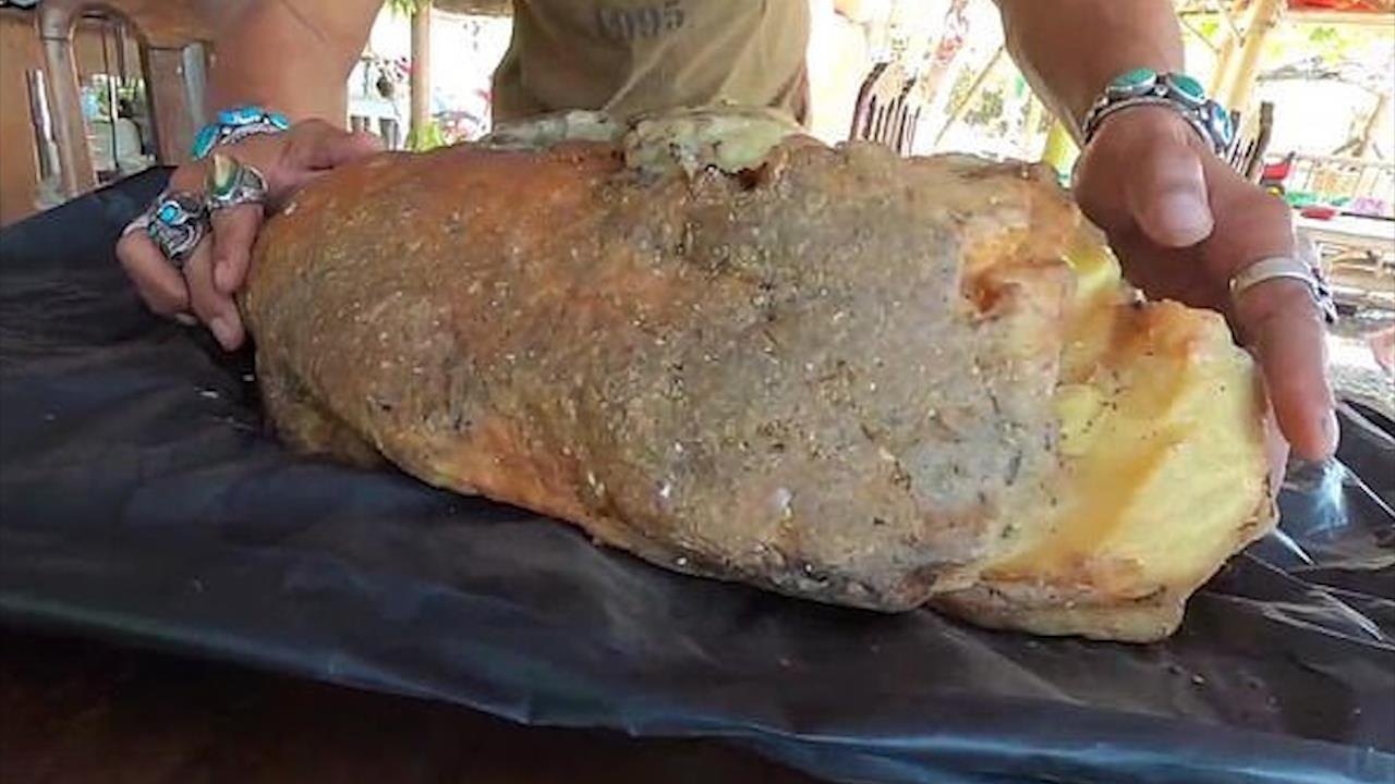 Vat the bi an nghi 'cuc non' cua ca voi, tri gia 500.000 USD hinh anh