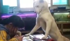 Ong bo Trung Quoc huan luyen cho dung canh con gai hoc bai hinh anh