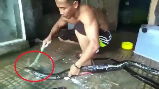 Thanh nien tam, xia rang cho ran khong lo nhu cham thu cung hinh anh