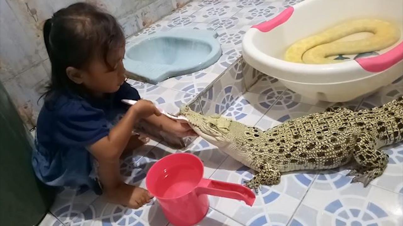 Be gai gan da danh rang cho ca sau hinh anh