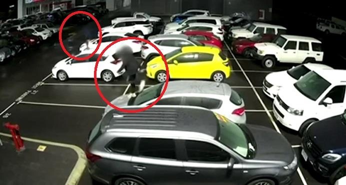 Hai cau be dap pha 37 chiec xe oto o Australia hinh anh