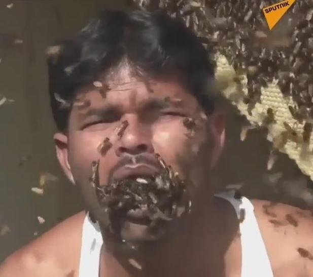 Nguoi dan ong choi dua, nhet hang tram con ong vao mieng hinh anh